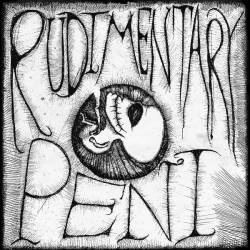 Rudimentary Peni : Rudimentary Peni